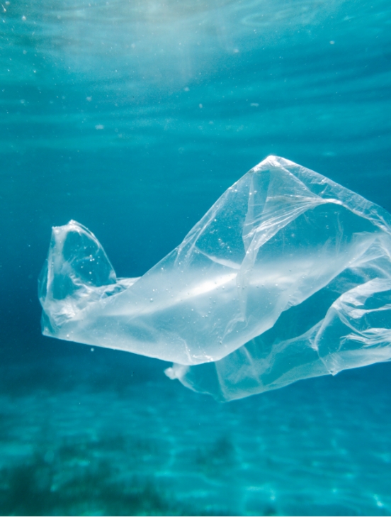 We are reducing single-use plastics for our sea.