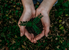¿Cómo debemos reciclar en casa? Los mejores trucos