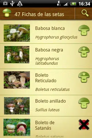 Les millors aplicacions per sortir a buscar bolets