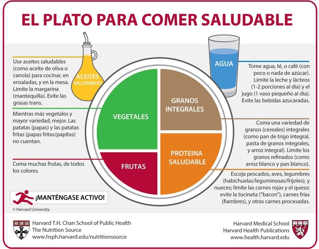 El Plat de Harvard: les claus per menjar bo, sa i equilibrat