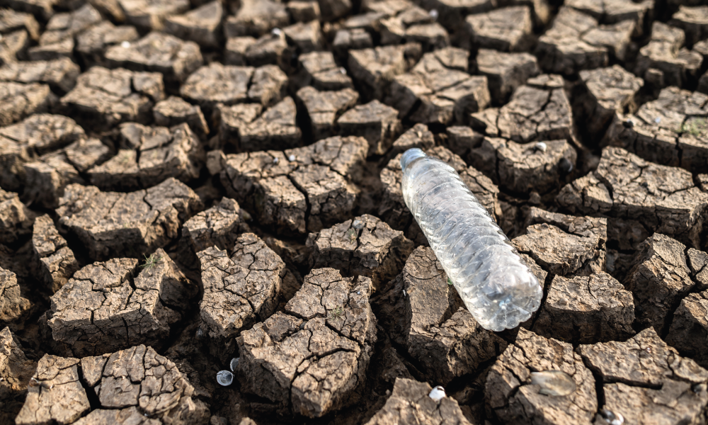 Coses que pots fer en el teu dia a dia per a combatre el canvi climàtic