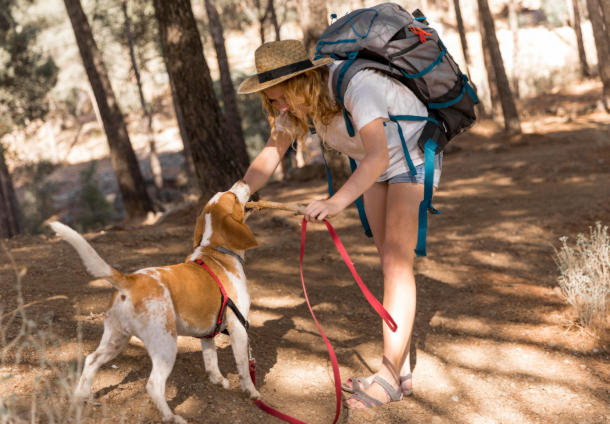 Rutas para ir con tu perro en Barcelona y alrededores