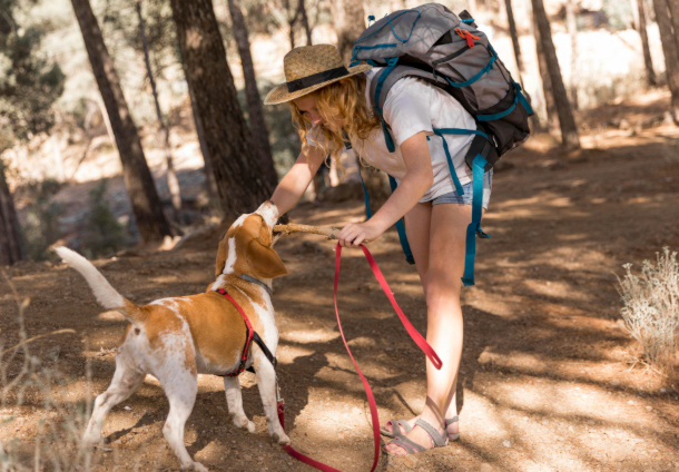 Rutes per anar amb el teu gos a Barcelona i voltants