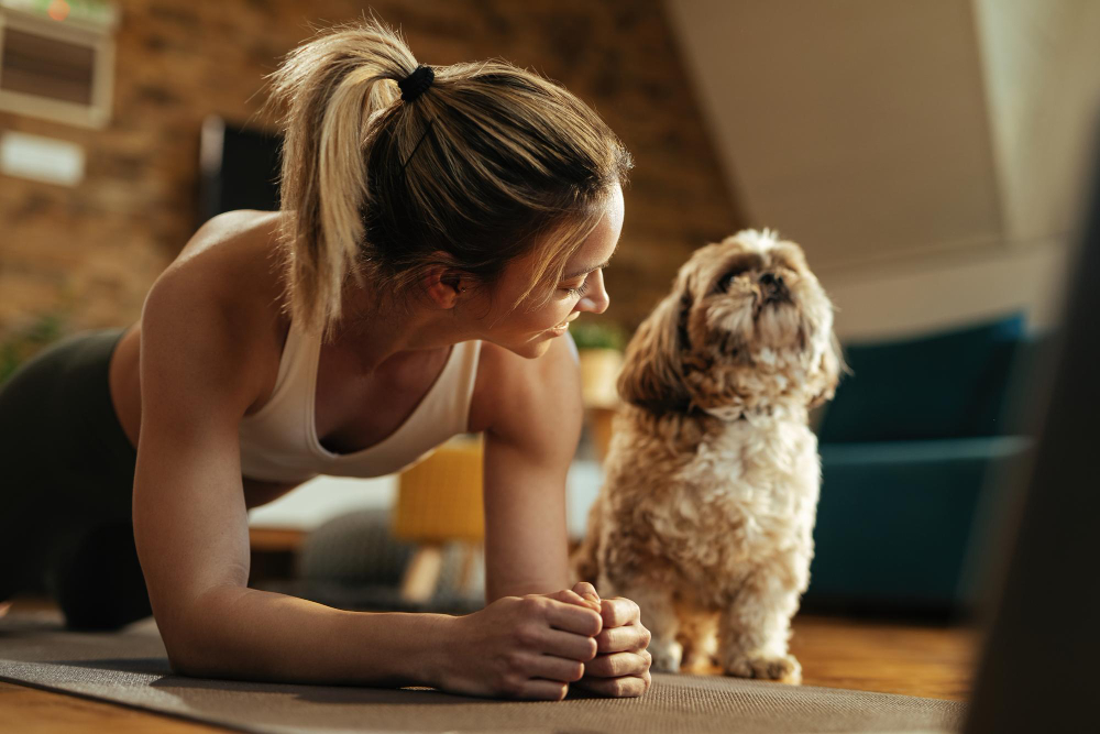 11 consells dels veterinaris perquè el teu gos o gat visqui més anys