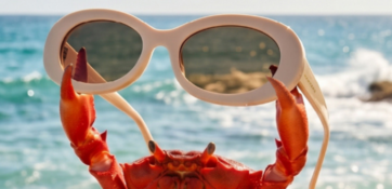 SHADES OF SUMMER: Selección de producto 2×1
