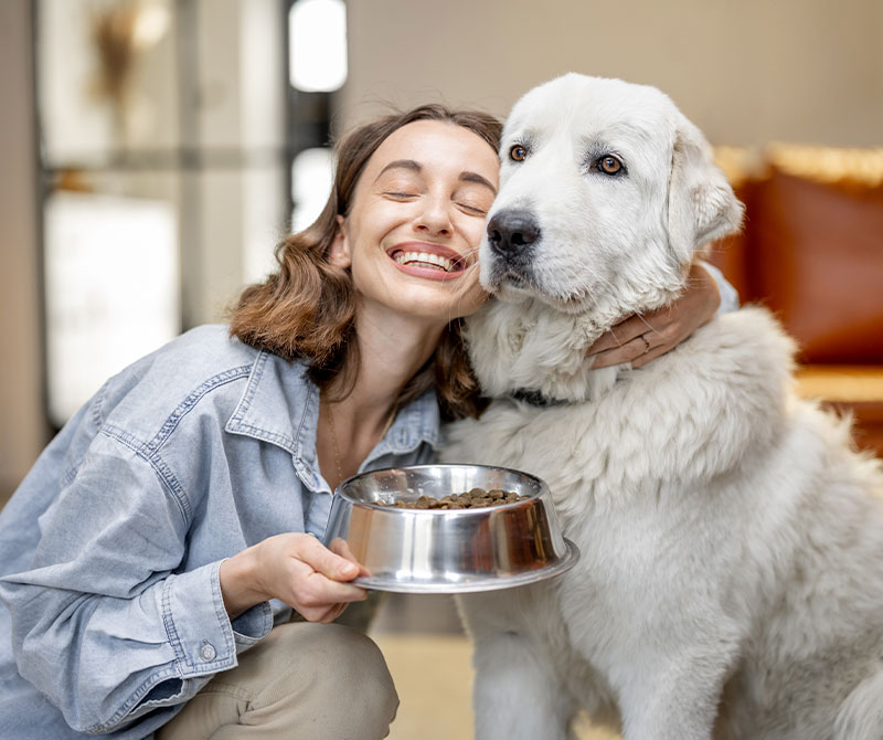 Consejos para que tu perro tenga una vida más larga y feliz