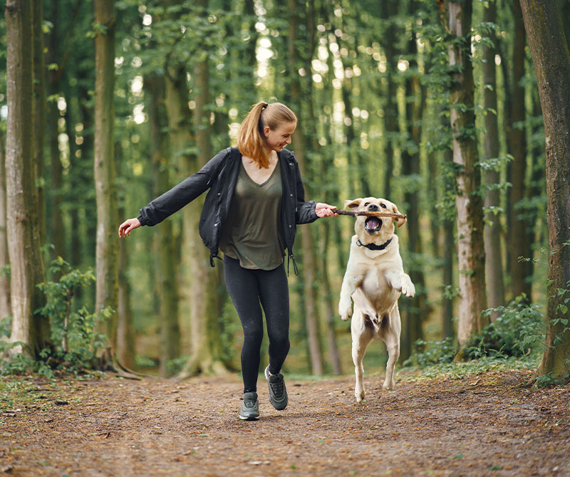 Consejos para que tu perro tenga una vida más larga y feliz