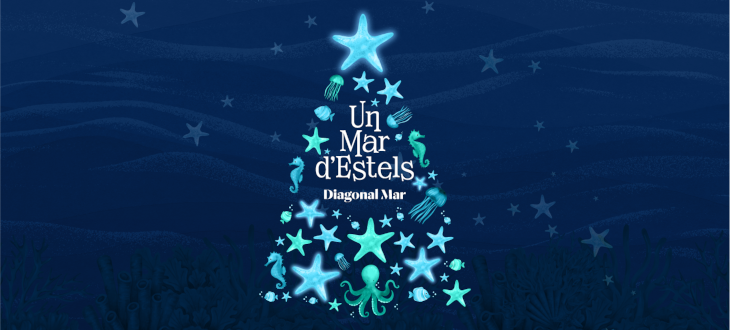 Viu Un Mar d'Estels aquest Nadal