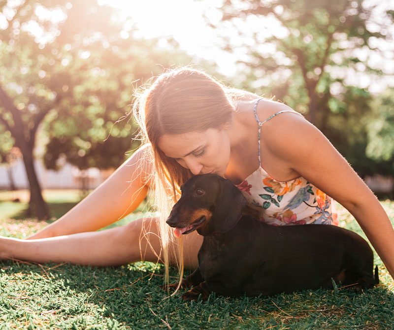 C&oacute;mo proteger a tu mascota en plena ola de calor