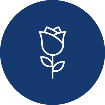 st-jordi_rosa-regalo